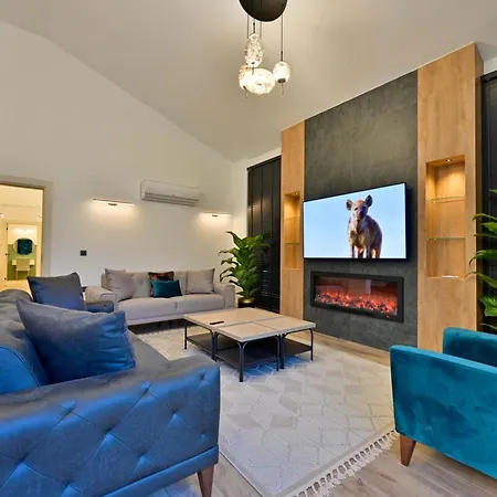 Vila Odella - Luxury For 6 In Seydikemer Zorlar *